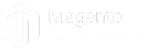 Magento Solution Partner