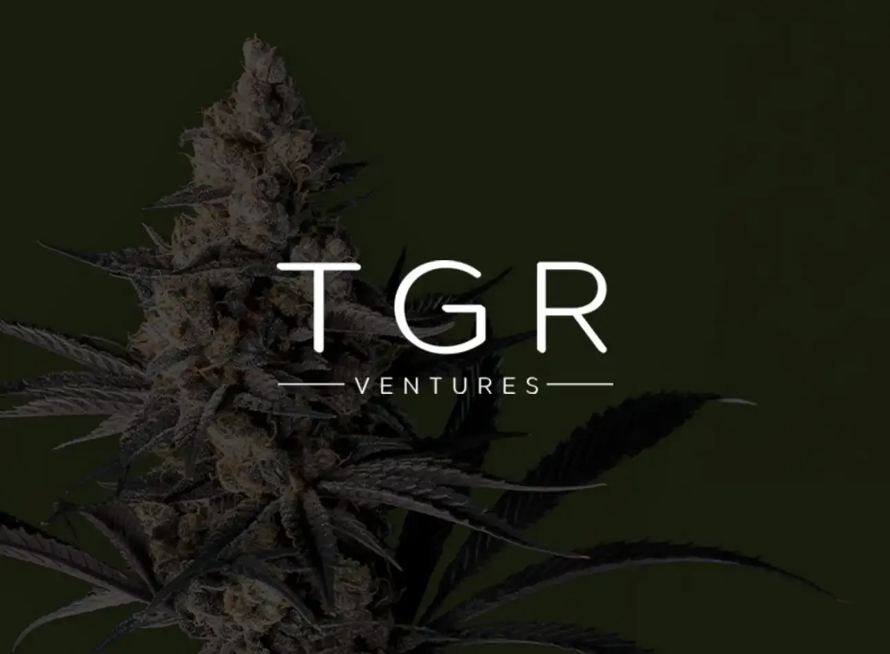 TGR (Automotive)