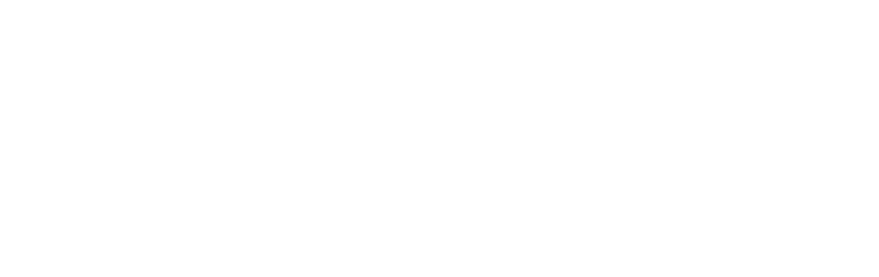 Shopify Plus Partner