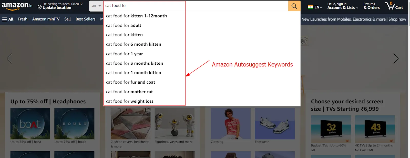 Amazon Autocomplete