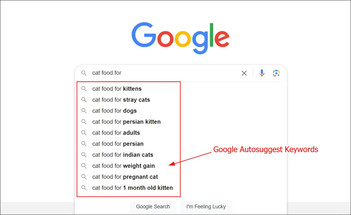 e-commerce seo